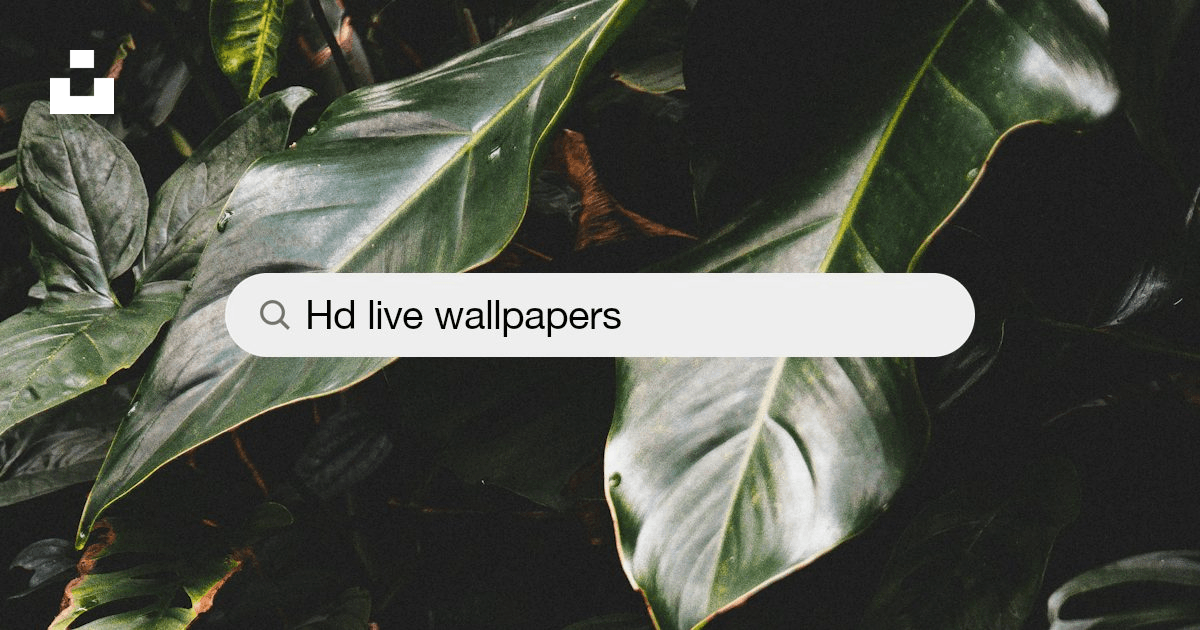 Live Wallpapers: Free HD Download [500+ HQ] | Unsplash