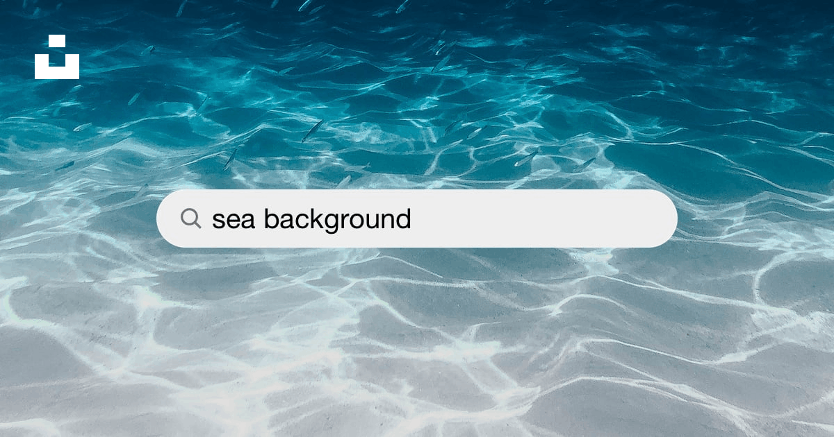 550+ Sea Background Pictures | Download Free Images on Unsplash