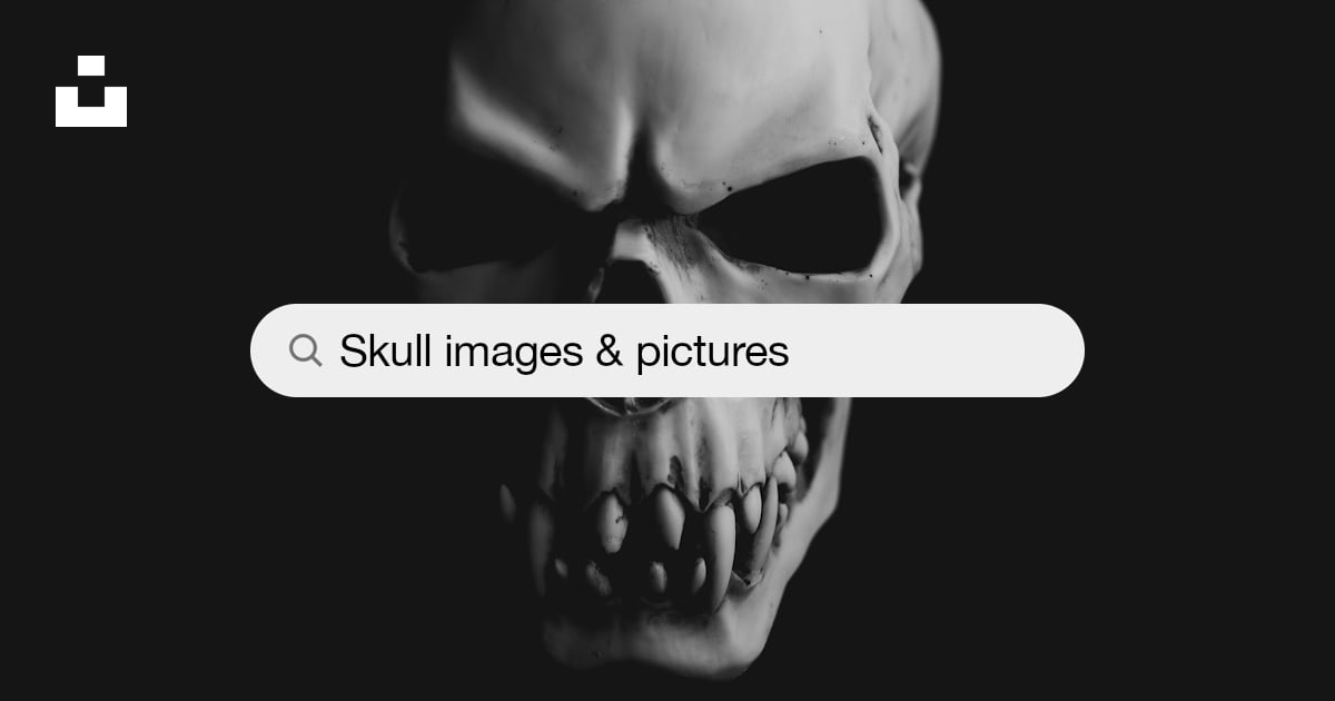 Skull Pictures | Download Free Images on Unsplash