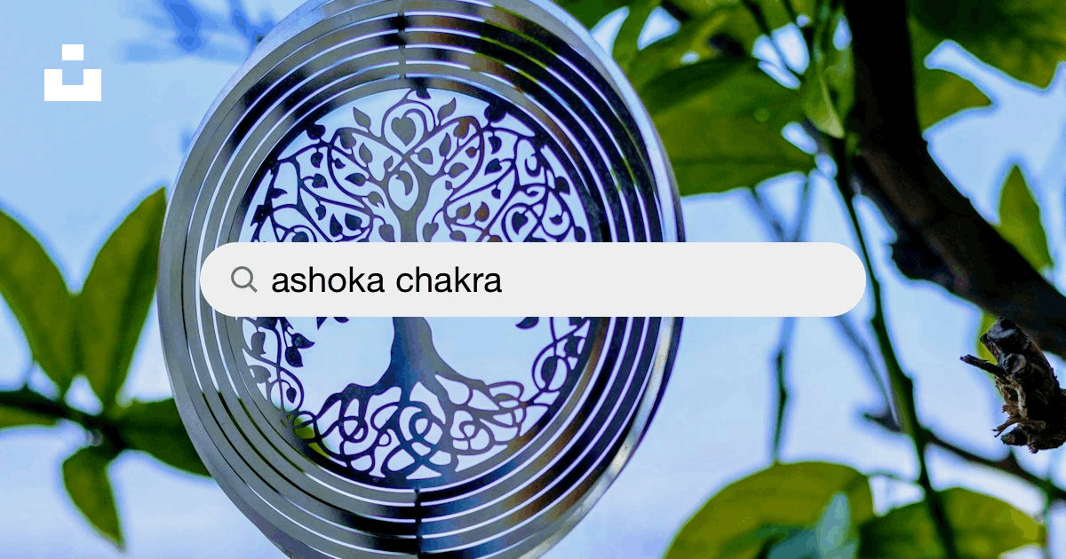 Ashoka Chakra Pictures | Download Free Images on Unsplash