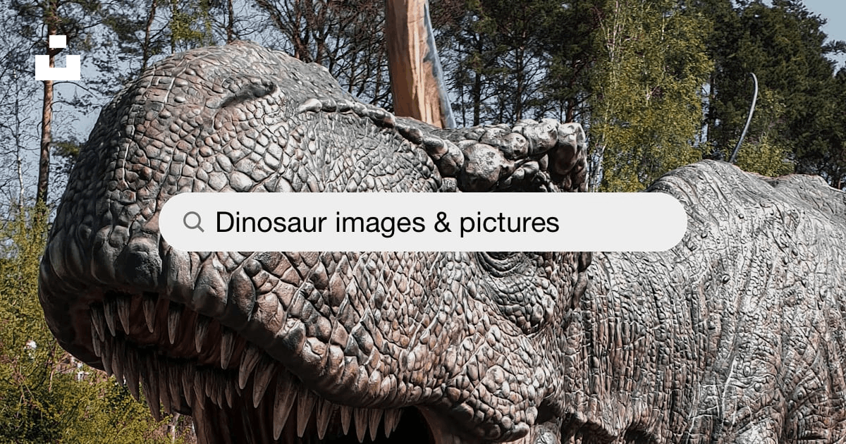 500+ Dinosaur Pictures [HQ] | Download Free Images on Unsplash