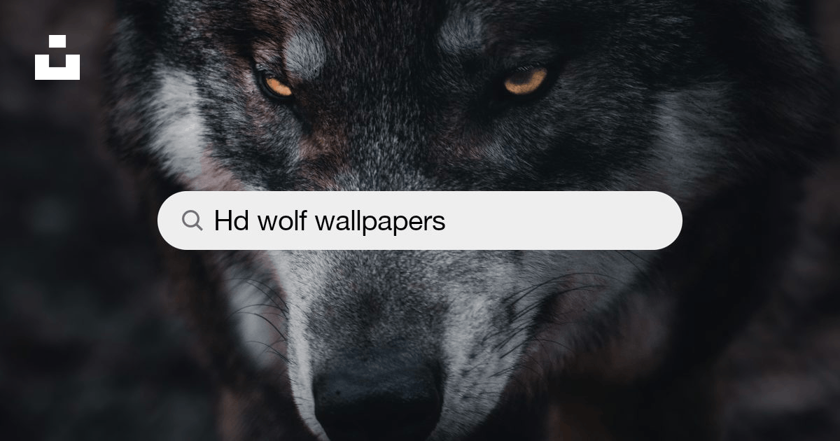 Wolf Wallpapers: Free HD Download [500+ HQ] | Unsplash