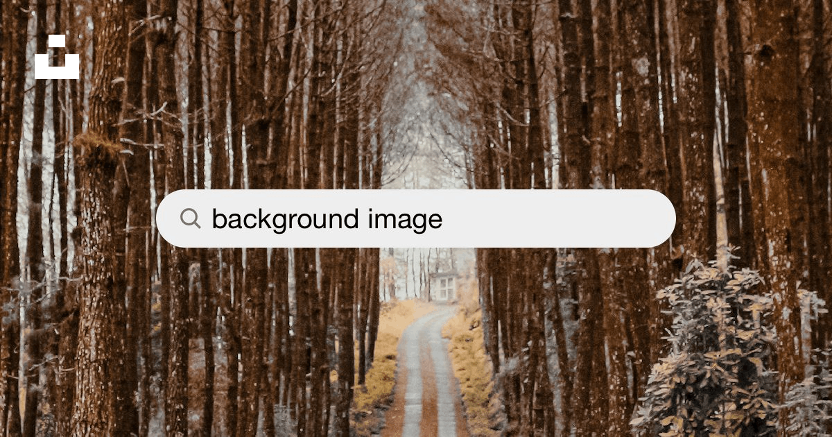 1000+ Background Image Pictures | Download Free Images on Unsplash