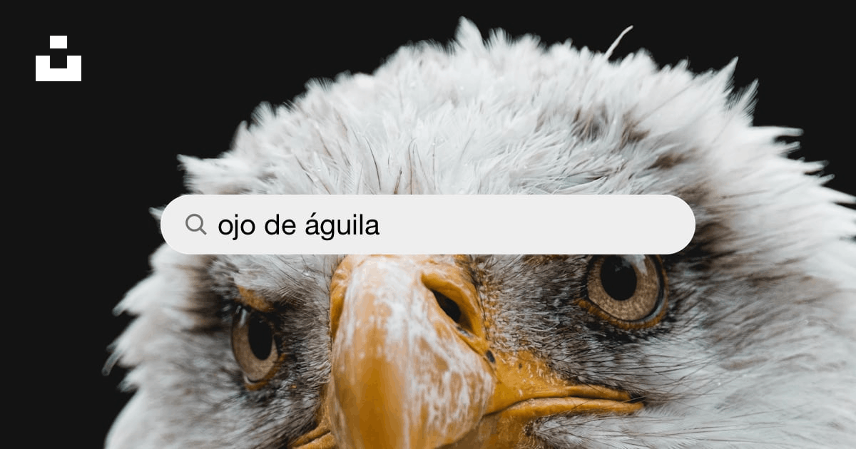 Imágenes de Ojo De Águila | Descarga imágenes gratuitas en Unsplash