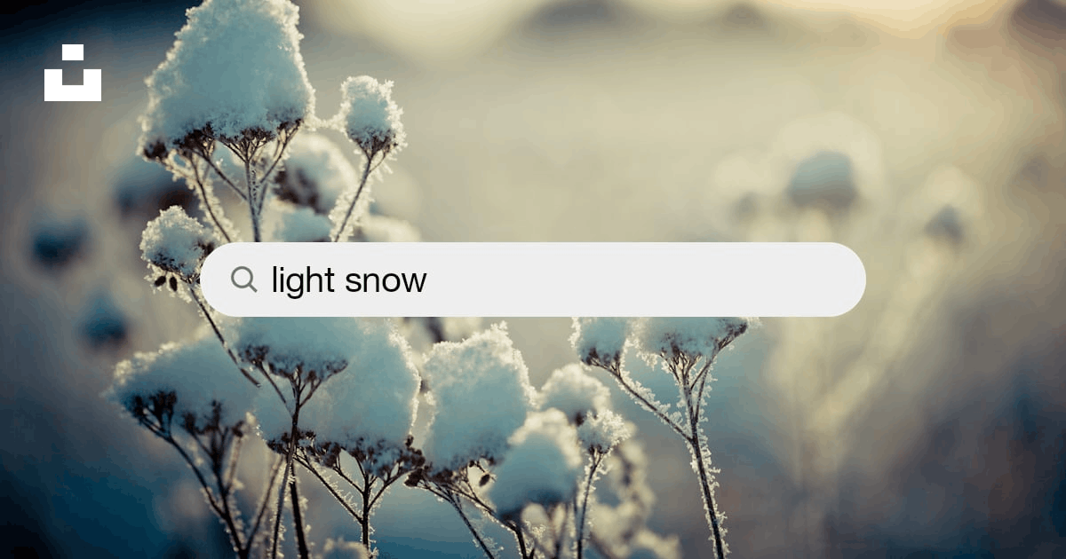 Light Snow Pictures | Download Free Images on Unsplash