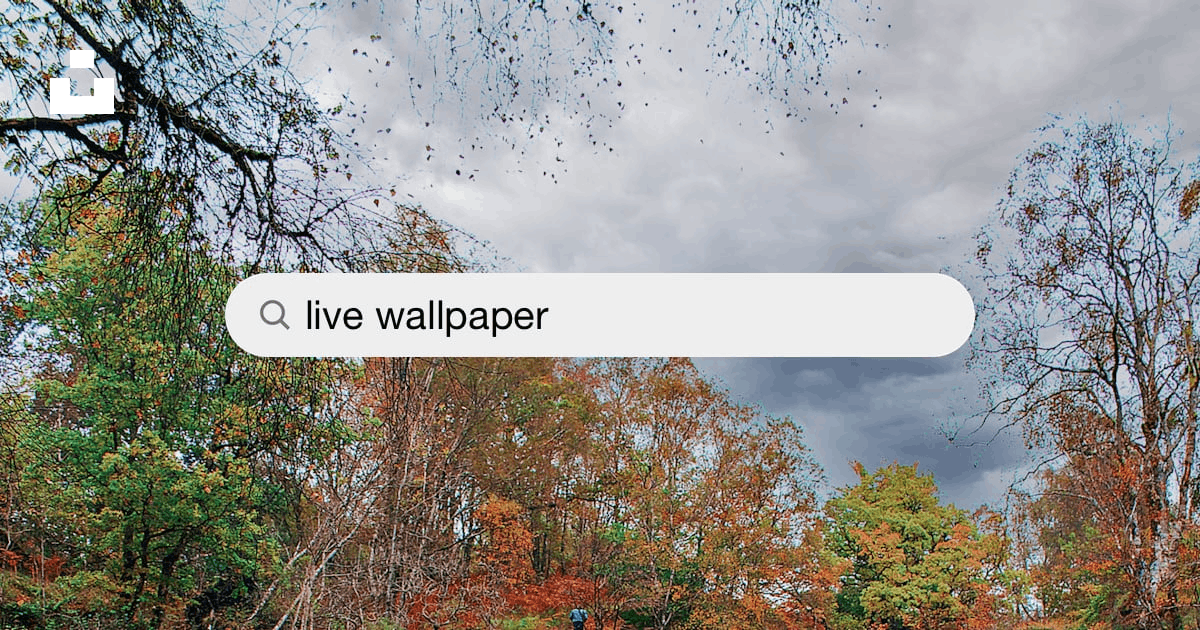 30k+ Live Wallpaper Pictures | Download Free Images on Unsplash