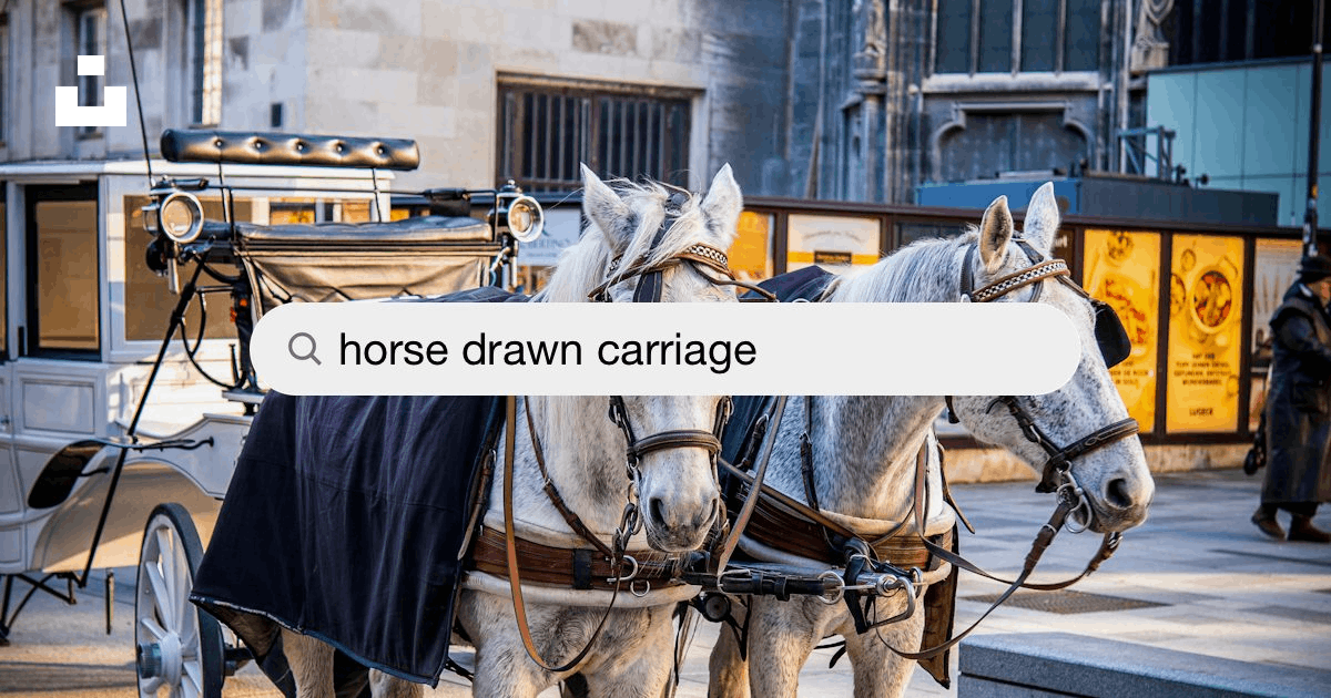 Horse Drawn Carriage Pictures | Download Free Images on Unsplash