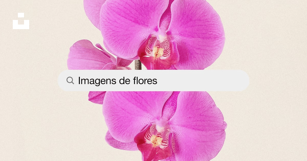 Mais de 500 fotos de flores [HD] | baixar Imagens Grátis no Unsplash