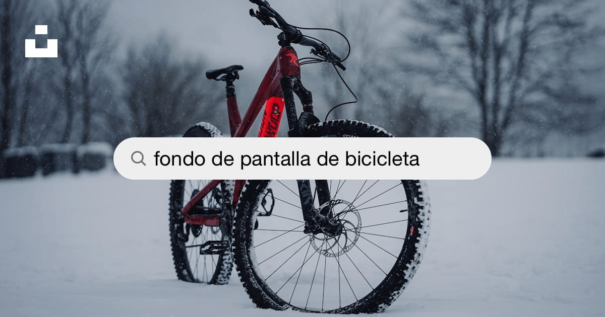 Imágenes de Fondo De Pantalla De Bicicleta | Descarga imágenes gratuitas en  Unsplash