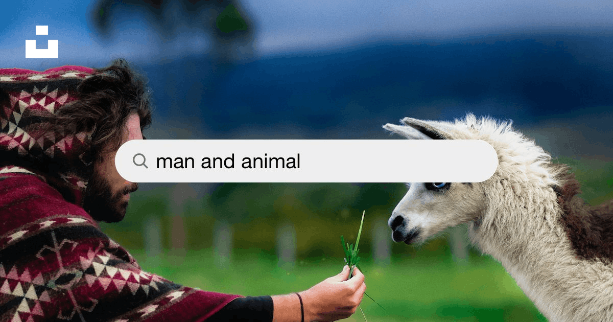 Man And Animal Pictures | Download Free Images on Unsplash