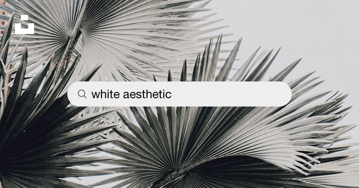 1500+ White Aesthetic Pictures | Download Free Images on Unsplash