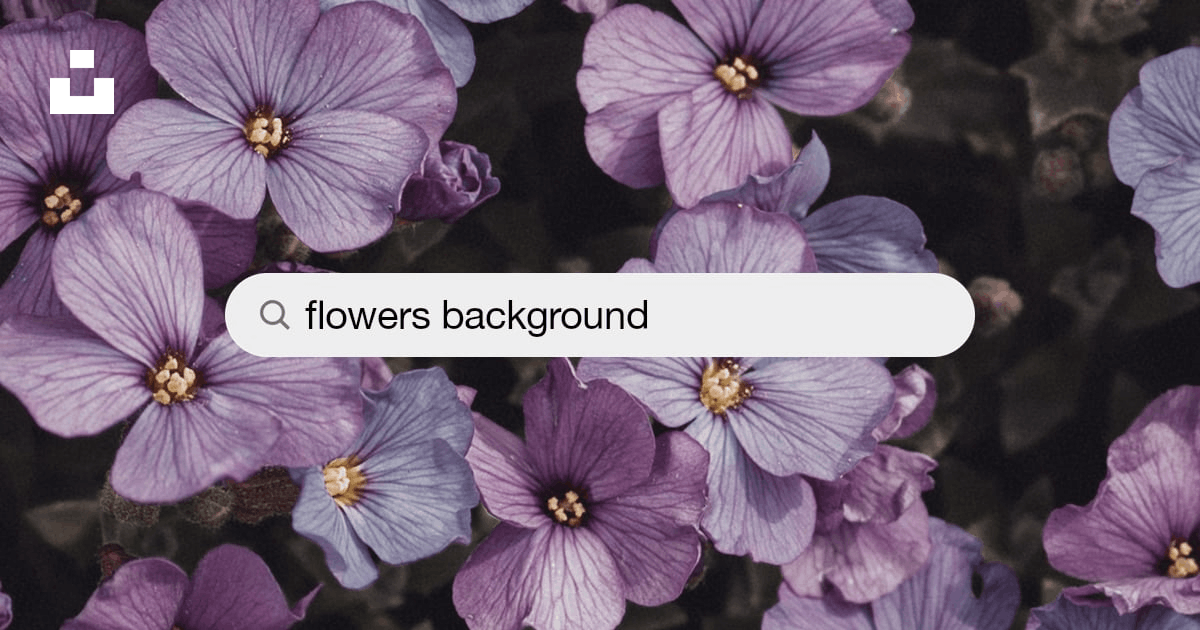 Flower background pic - download now for phone and desktop
