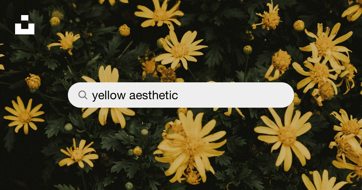 550+ Yellow Aesthetic Pictures | Download Free Images on Unsplash