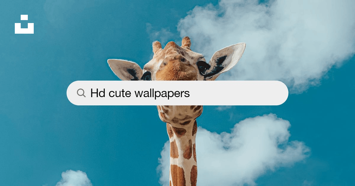 Cute Wallpapers: Free HD Download [500+ HQ] | Unsplash