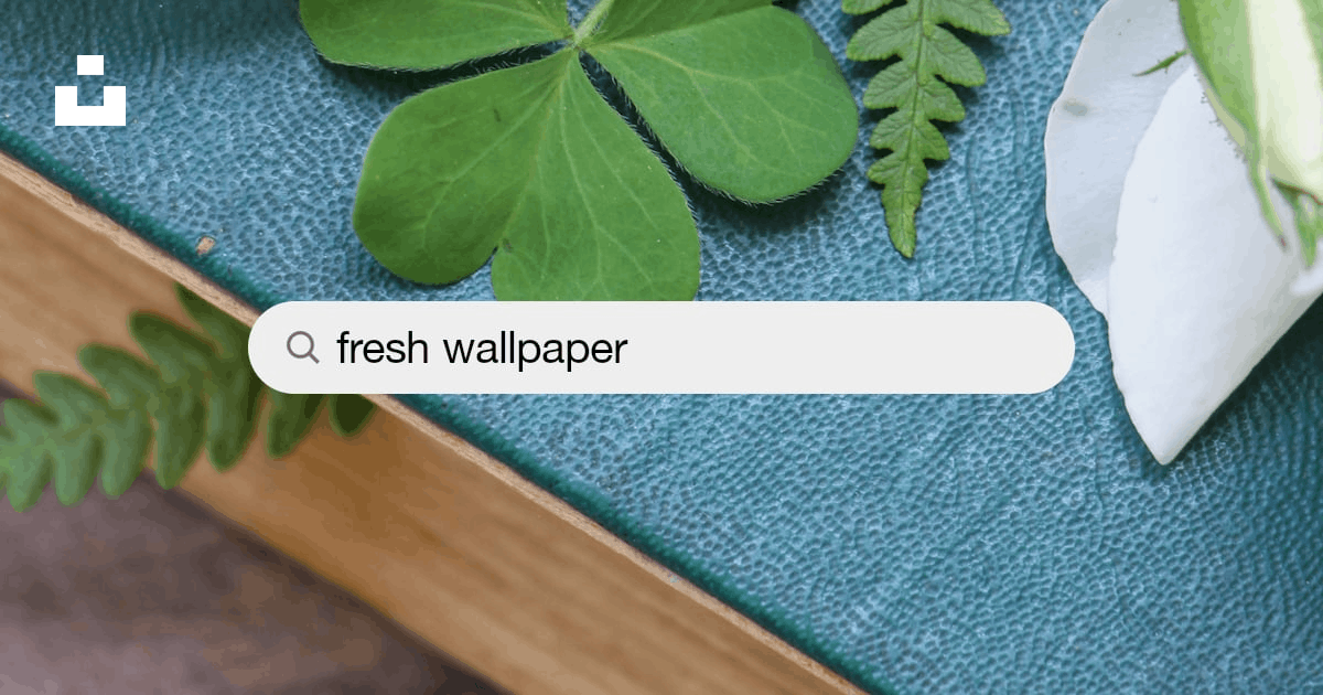 Fresh Wallpaper Pictures | Download Free Images on Unsplash