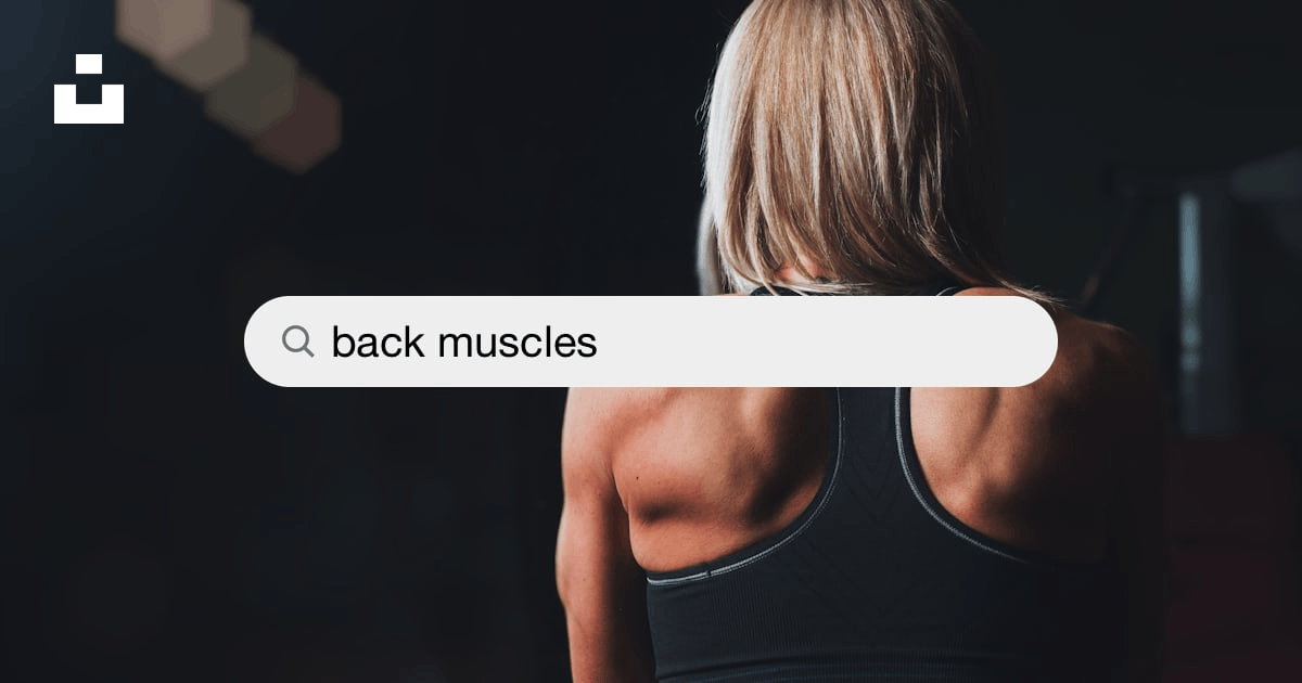 Back Muscles Pictures  Download Free Images on Unsplash