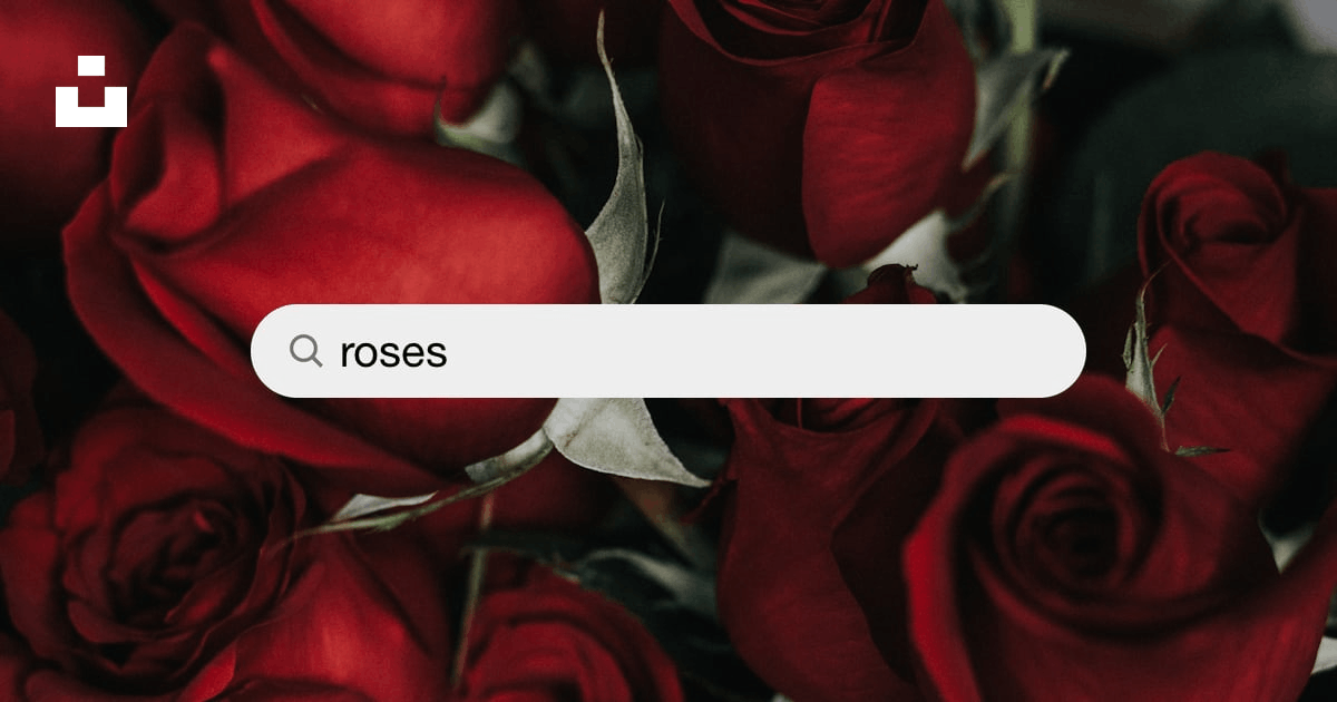 Dusty Rose Pictures  Download Free Images on Unsplash