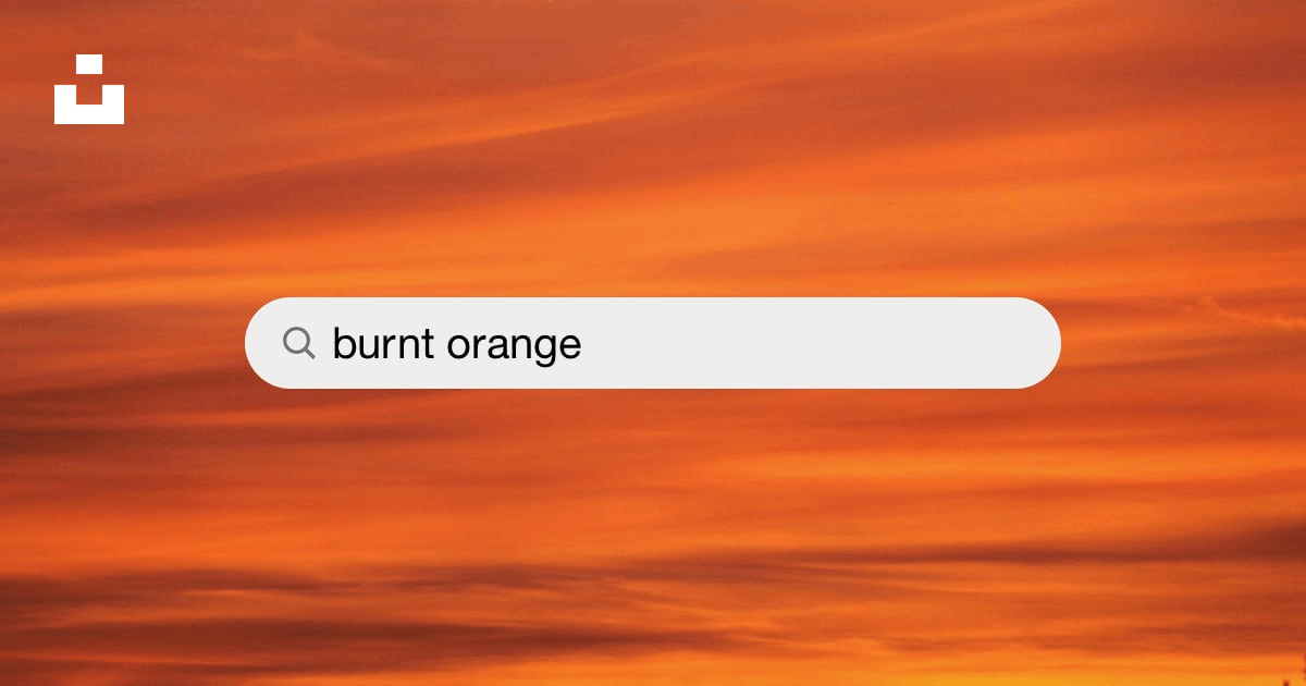 Burnt Orange Pictures  Download Free Images on Unsplash