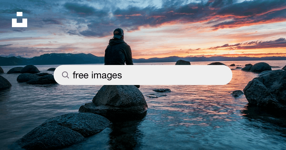 Free Images Pictures  Download Free Images on Unsplash