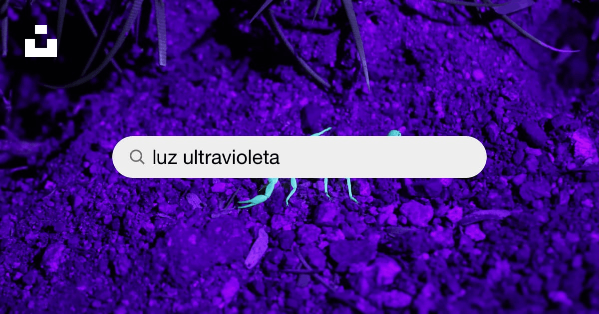 Imágenes de Luz Ultravioleta  Descarga imágenes gratuitas en Unsplash