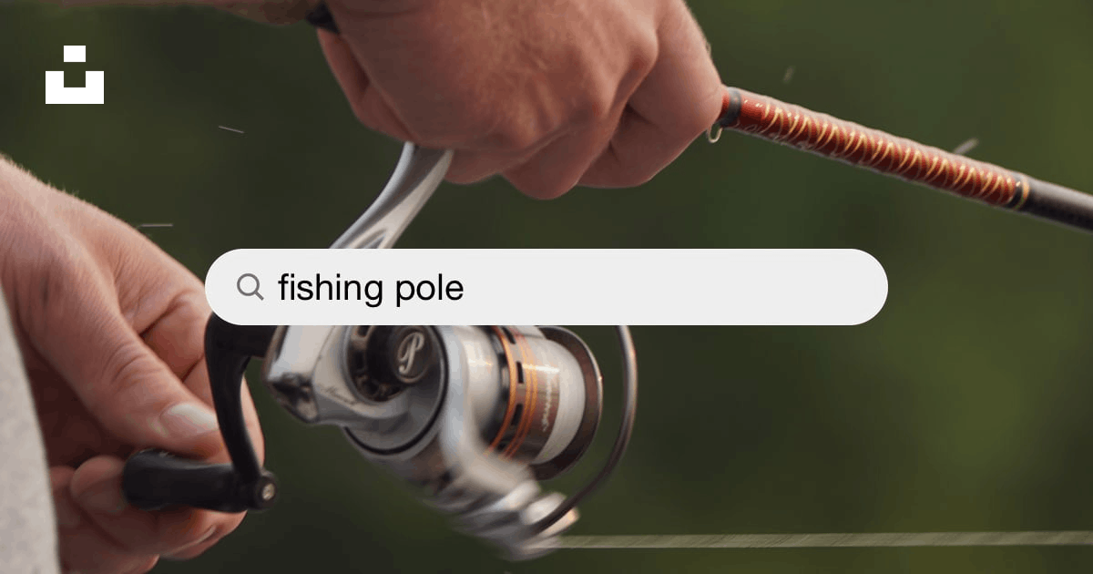 Fishing Pole Pictures  Download Free Images on Unsplash