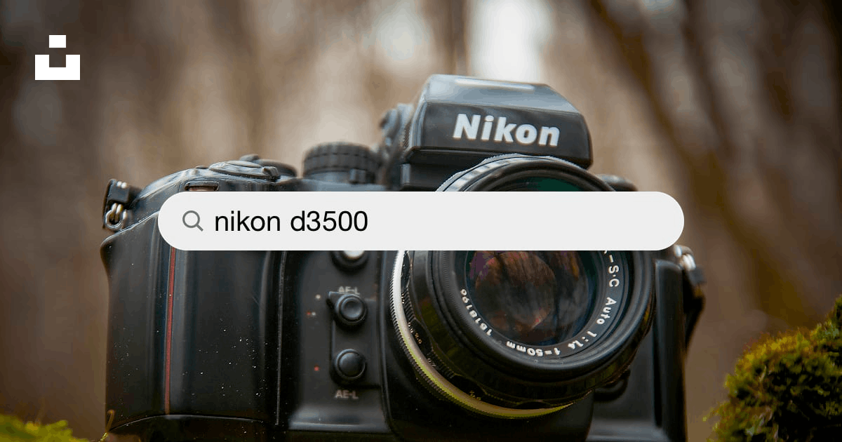 Best Nikon D3500 Pictures [HD]  Download Free Images on Unsplash