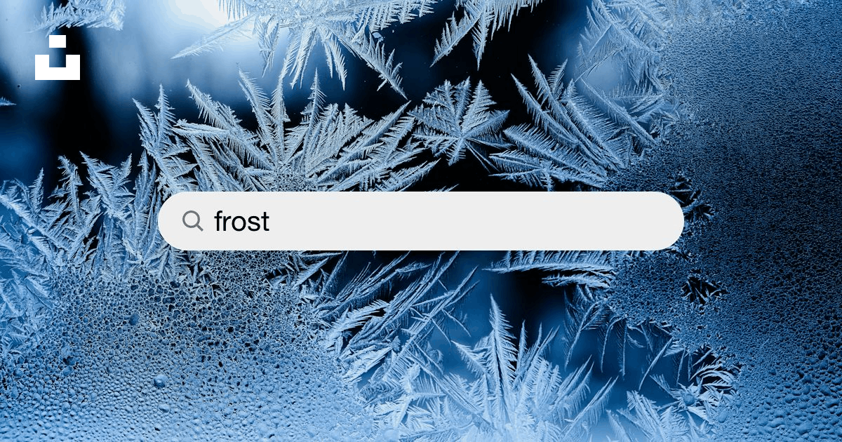 30,000+ Frost Pictures  Download Free Images on Unsplash