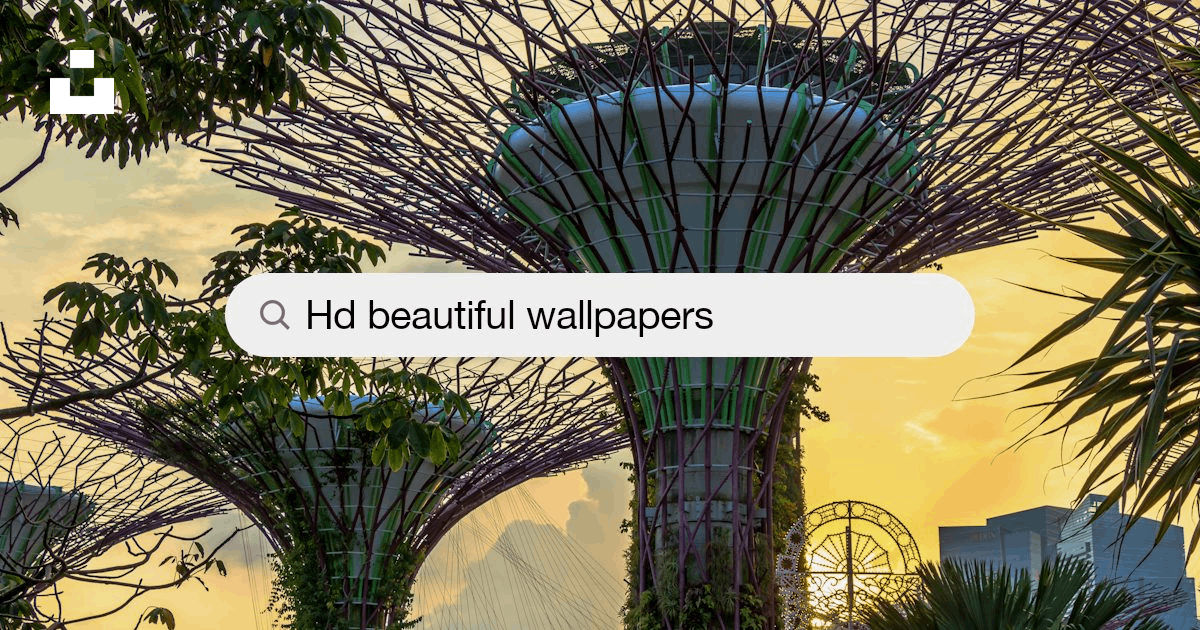 Beautiful Wallpaper Stock Photos, Images and Backgrounds for Free