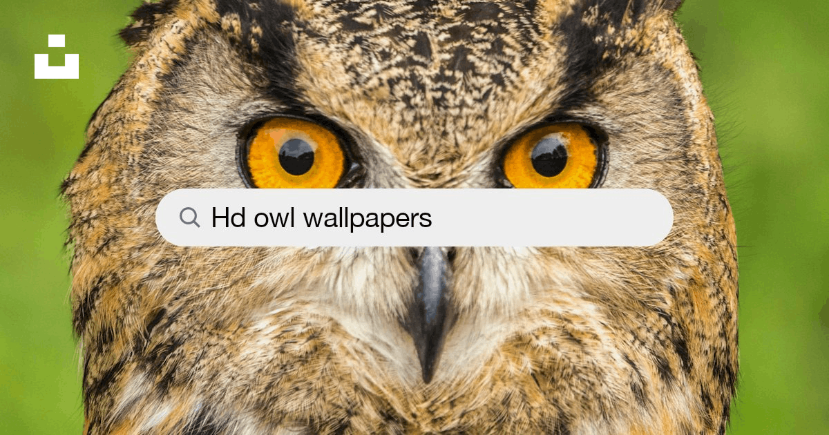 The Owl House Desktop Wallpapers - Wallpaper Cave