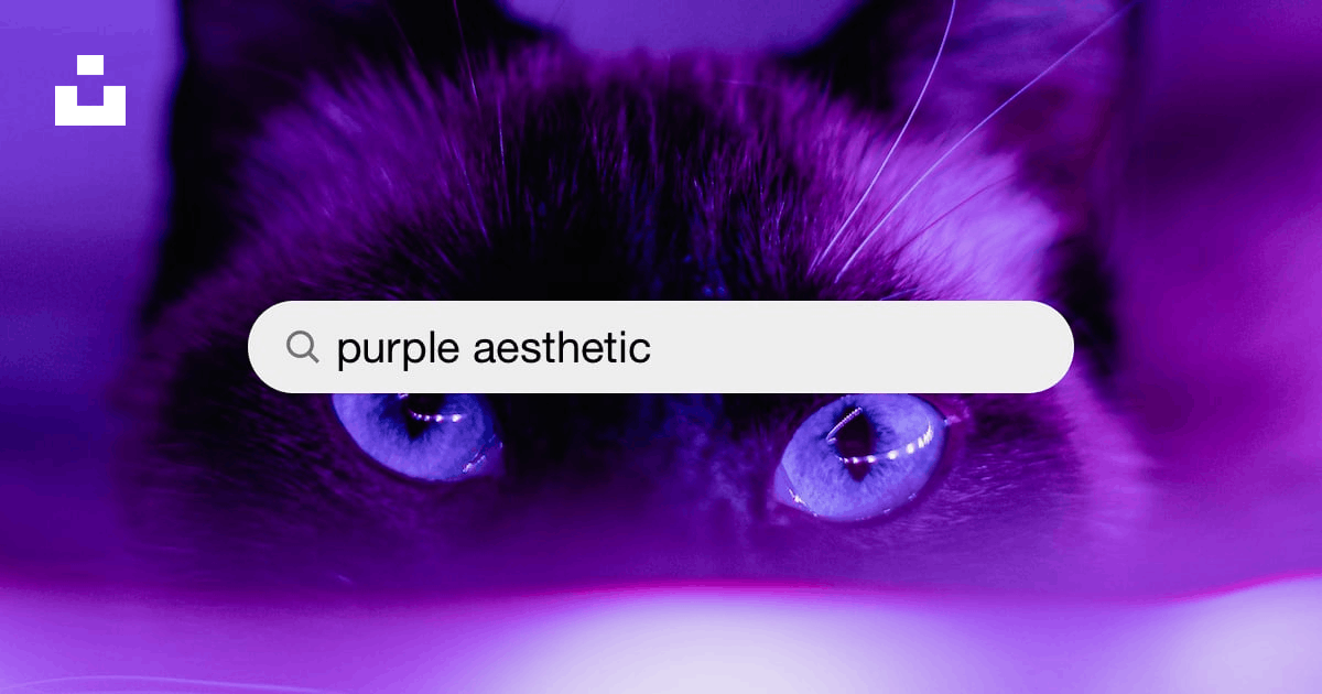 A bunch of random purple stuff!! -Sarah  Purple aesthetic, Purple, Purple  girls