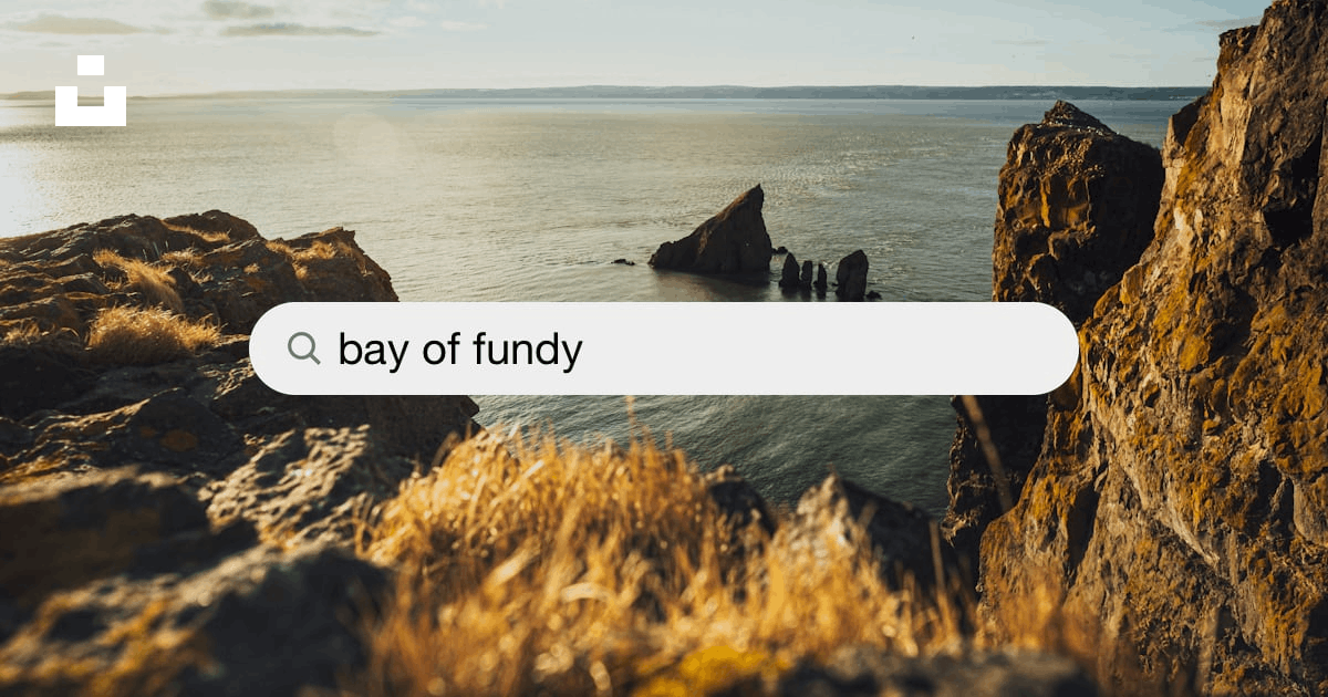 Fotos Baia Fundy, 93.000+ fotos de arquivo grátis de alta qualidade