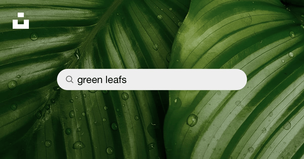 Green Leaves Pattern Image & Photo (Free Trial)
