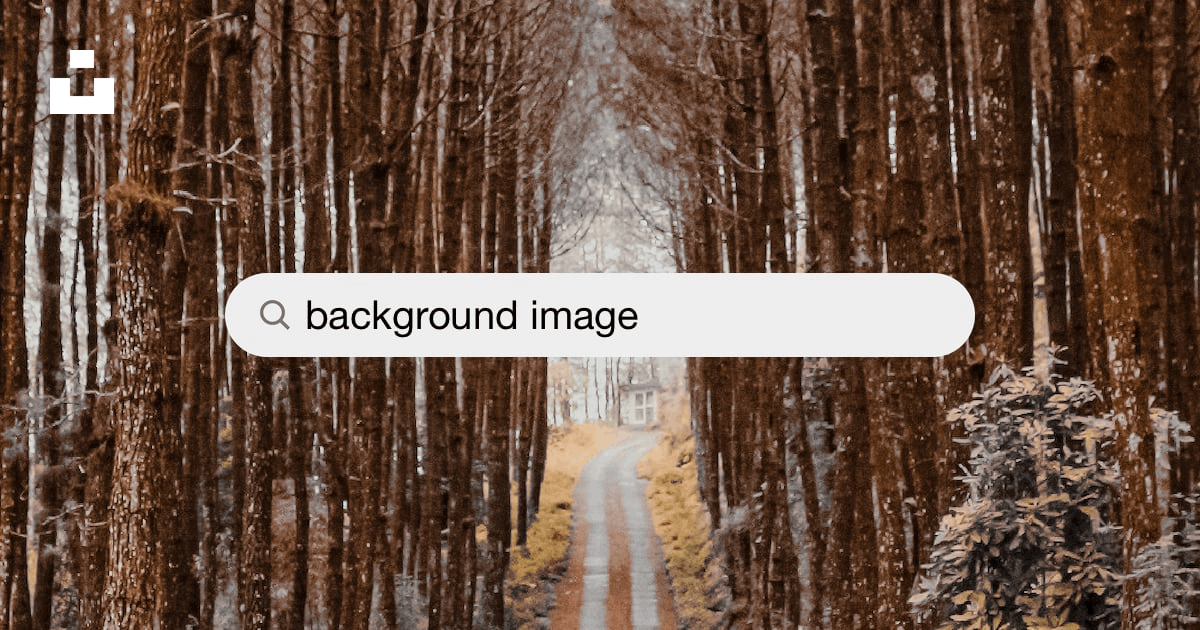 1000+ Background Image Pictures  Download Free Images on Unsplash