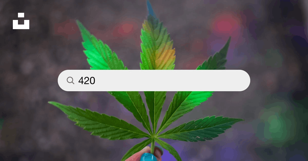 500+ 420 Pictures  Download Free Images on Unsplash
