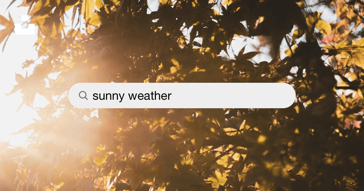 Sunny Weather Pictures  Download Free Images on Unsplash