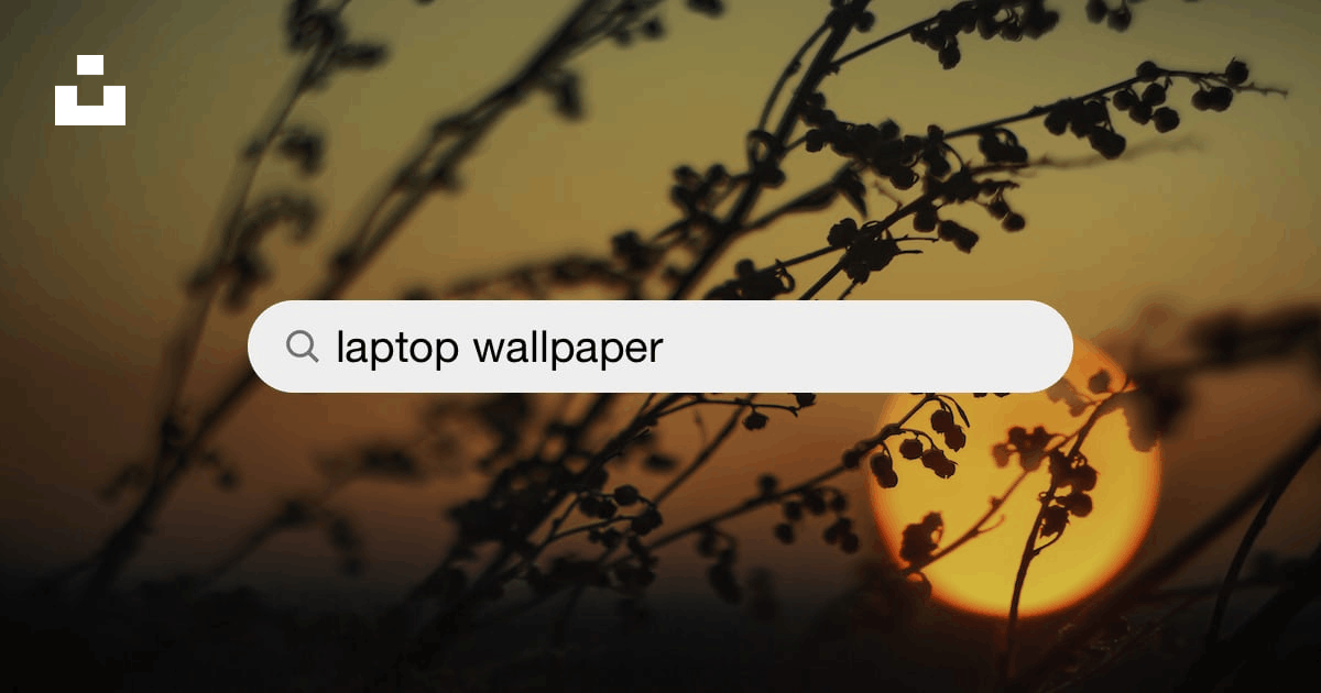 1500+ Laptop Wallpaper Pictures  Download Free Images on Unsplash