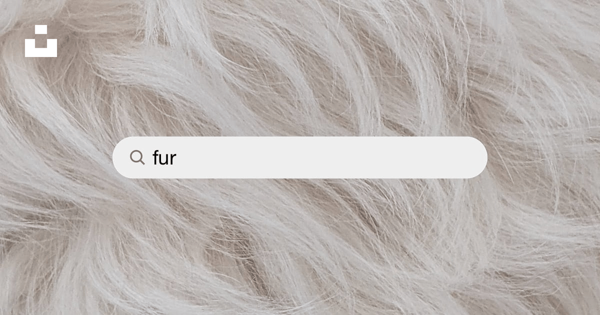 White Fur Stock Photo - Download Image Now - Fur, Animal Hair, White Color  - iStock