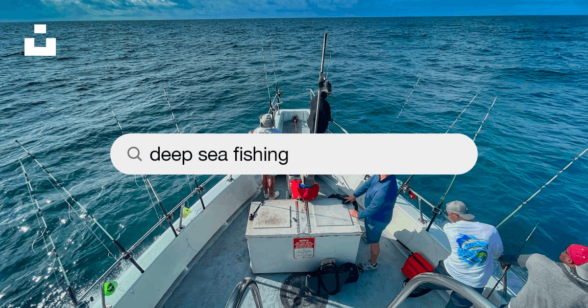 Deep Sea Fishing Pictures  Download Free Images on Unsplash