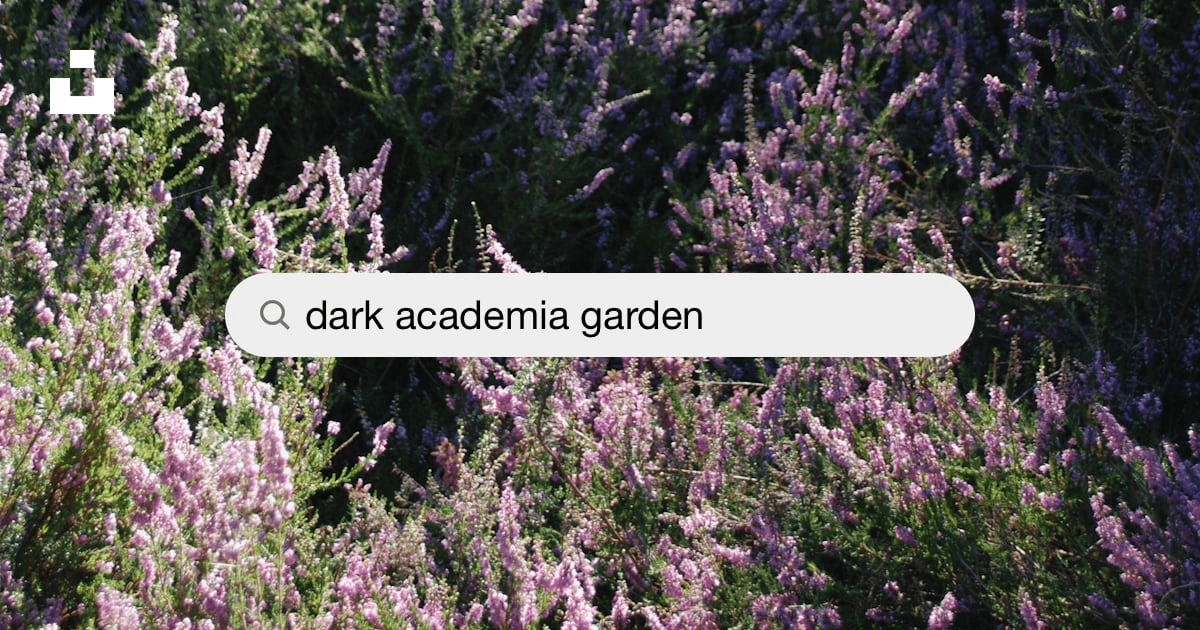 dark garden academia 🌑🌲📜🪨🌿⏳ #gardencore #darkgarden #darkacademia