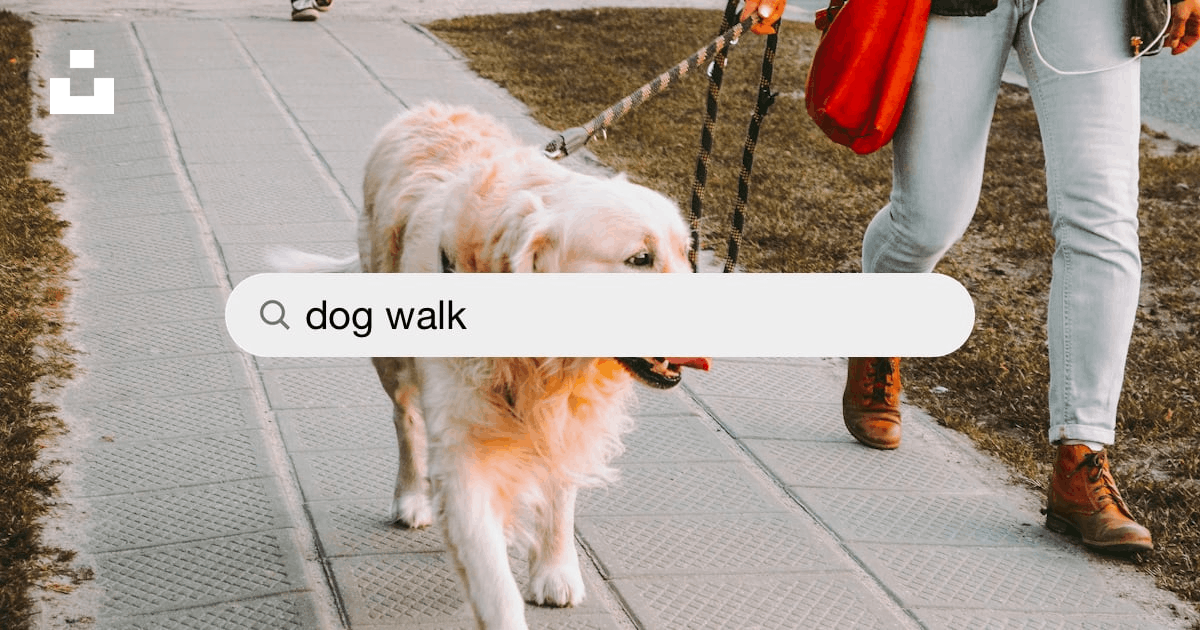 30,000+ Dog Walk Pictures | Download Free Images on Unsplash