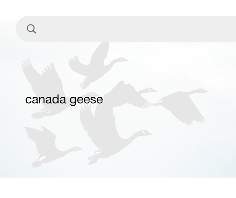 Canada goose 10k sales usa