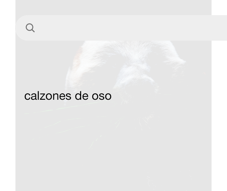 Im genes de Calzones De Oso Descarga im genes gratuitas en Unsplash