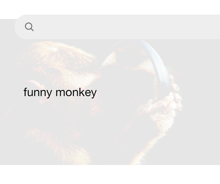 Funny hotsell monkey photos