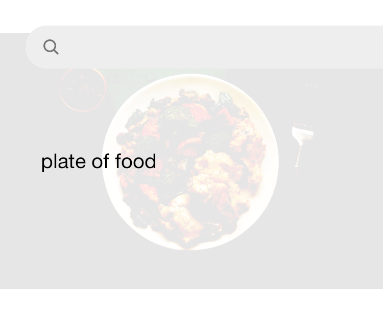 Best 500 Plate Of Food Pictures Download Free Images on Unsplash