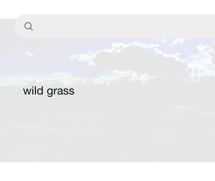 Wild grass online