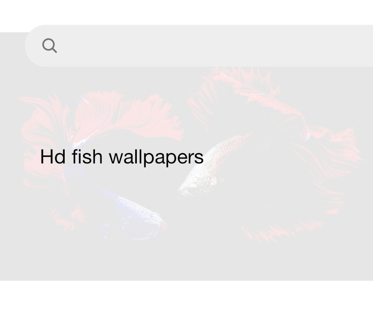 Best fish wallpaper deals