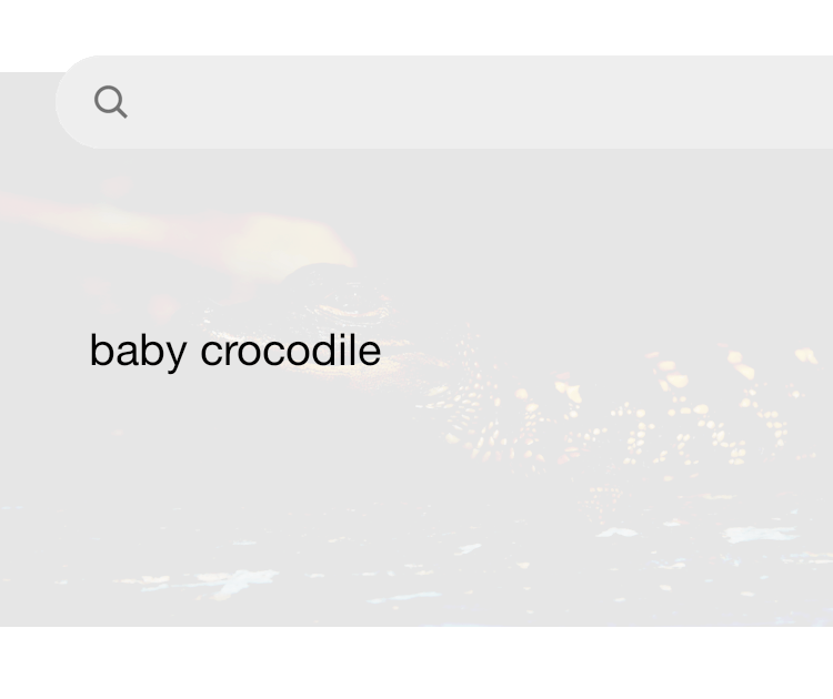 Crocodile baby best sale