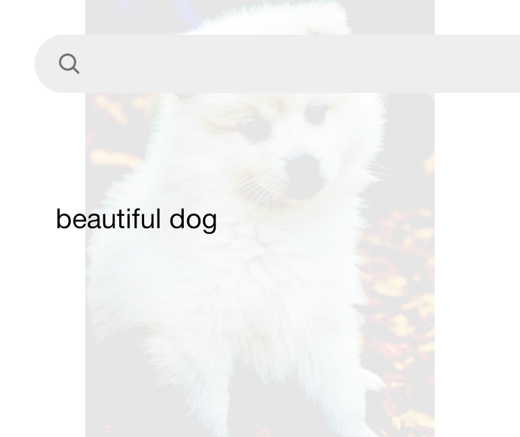 Dogs best sale beautiful dogs