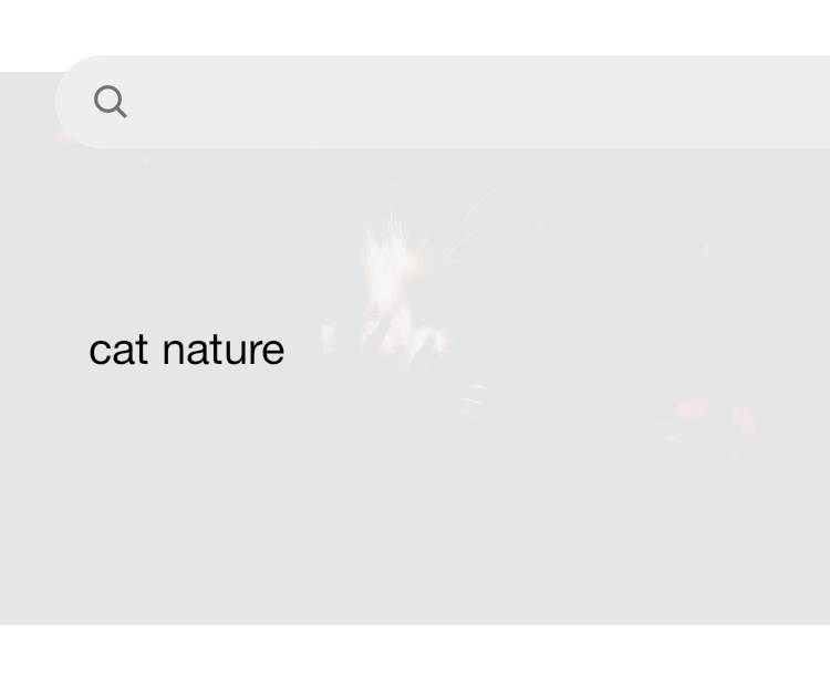 Cat fur nature hot sale