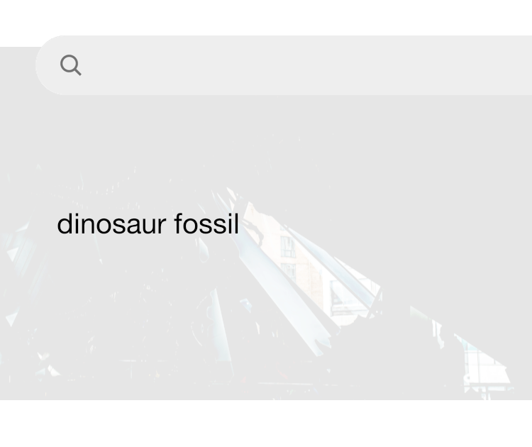 Fossil 2025 toronto premium